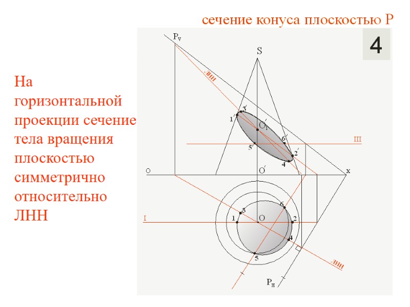 На горизонтальной проекции сечение тела вращения плоскостью симметрично относительно ЛНН